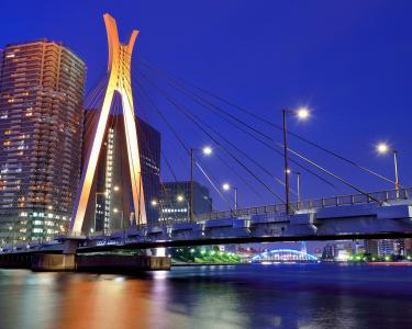 东京，首都，桥，河，灯，晚上，摩天大楼，建筑