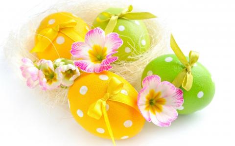 复活节，鸡蛋，鲜花，白色背景