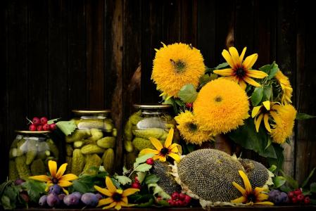 鲜花，罐头，秋季，黄金菊，花束，向日葵，静物，李子，黄瓜，组成