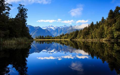 自然，山，河，森林，美丽，新西兰，新西兰