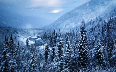 冬天，河，雪，山，森林，树