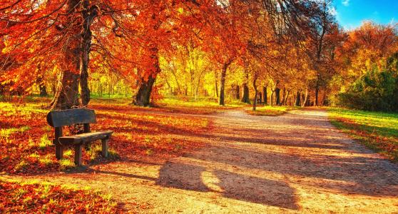 秋天，公园，美丽