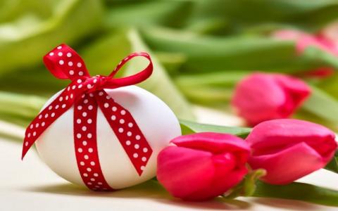 鸡蛋，郁金香，鲜花，复活节，复活节，花束