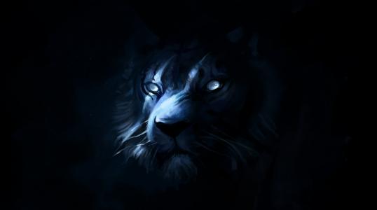 狮子，艺术，捕食者，黑暗的背景