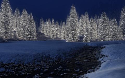 新的一年，冬天，雪，灯，枞树