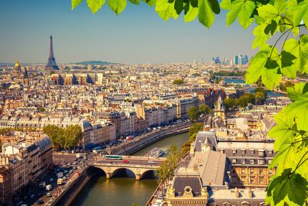 桥梁，顶视图，法国，巴黎，房屋，艾菲尔铁塔，树叶，树枝，河流
