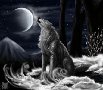 夜，北how，星星，月亮，狼