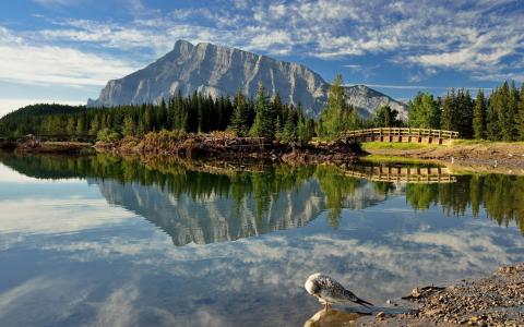 自然，景观，湖，反思，桥，鸽子，朗德尔山，加拿大艾伯塔省