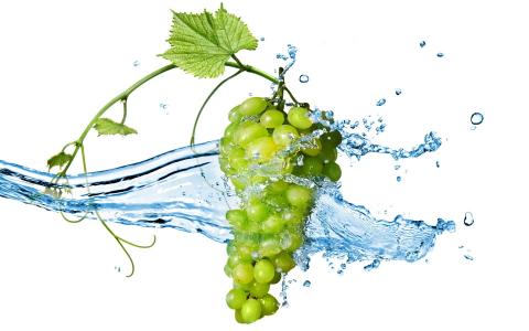 浆果，束，飞溅的水，葡萄