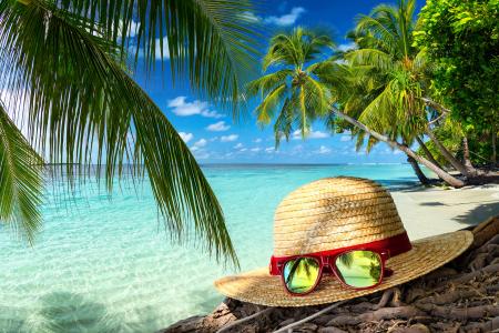 帽子，眼镜，热带，棕榈树，海洋，夏天