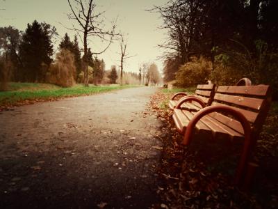 公园，秋季，性质，长凳，美丽
