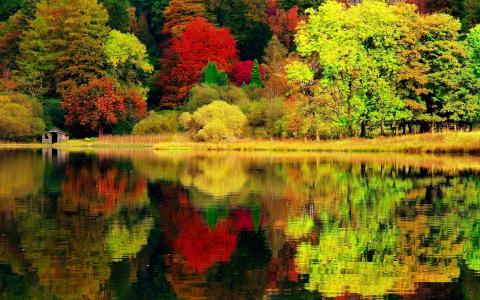 性质，秋季，河，反射