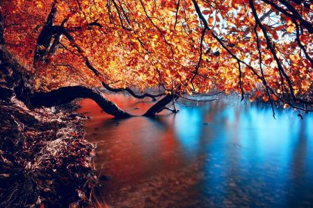 秋天，树枝，河流，自然，光滑