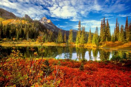 山，云，性质，树，秋，湖，反射