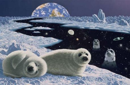 海豹，冰，艾草，空间，星球，威廉·谢尔梅尔，偏差的艺术