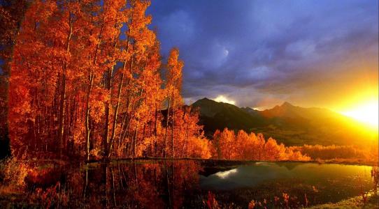 自然，秋天，山，反射，树，金色的王冠，湖，太阳，日出
