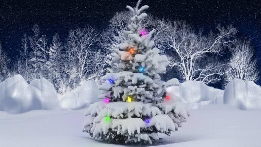 圣诞树，玩具，雪，新的一年
