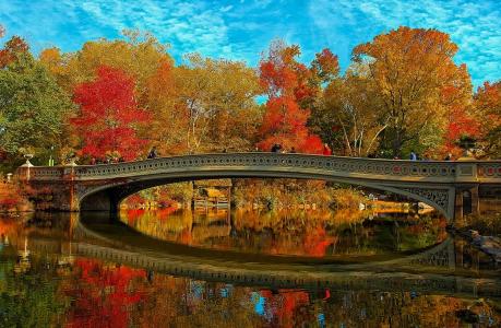 秋天的金色，公园，桥，树木，秋季，反思，池塘，美女，水