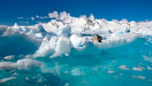 南极，自然，北，冰