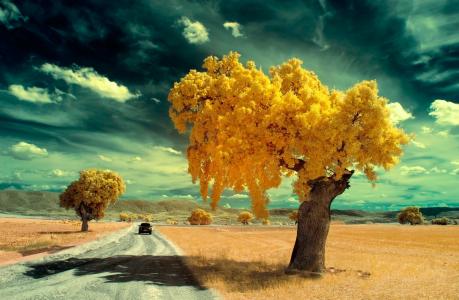 性质，路，秋季，美丽，天空，汽车，丘陵