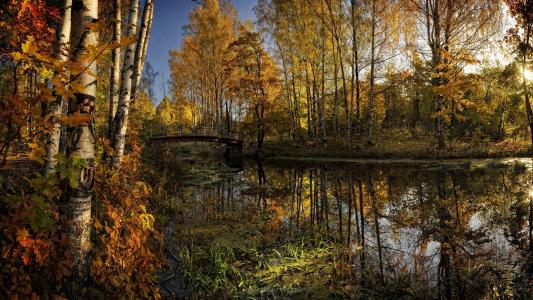 自然，景观，湖，秋天