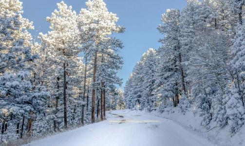 路，冬天，雪，美丽