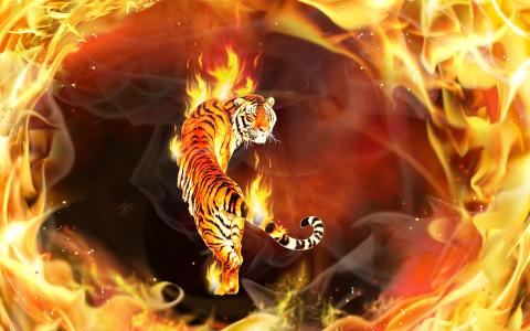 3D，火，火焰，猫，老虎，photoshop