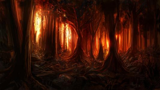 森林，树木，火焰，幻想