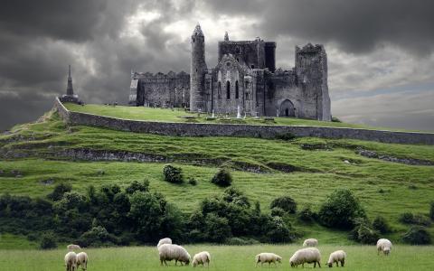 爱尔兰，羊，山，爱尔兰，云，城堡