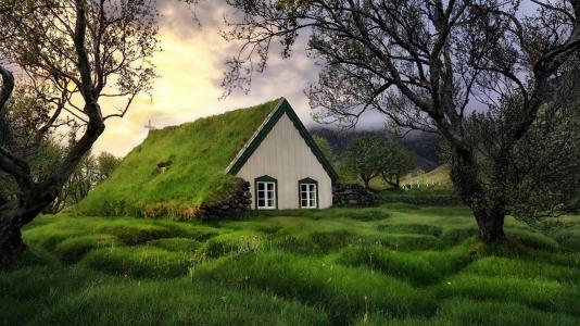 景观，冰岛，教堂，草，树木