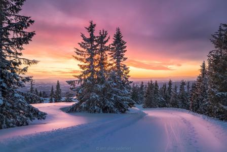 冬天，雪，冷杉，摄影师，Jorn Allan Pedersen，山，下降