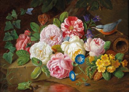 约瑟夫Holstayn，绘画，花卉，鸟，老鼠，青蛙，绘画