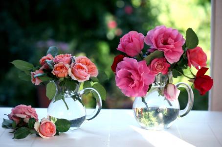 窗台，水罐，鲜花，玫瑰