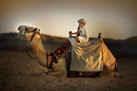 骆驼，肖像，孩子，非洲，光，茱莉亚Karpova