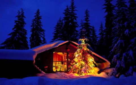 背光，新的一年，房子，毛皮树，冬天，晚上，圣诞节，雪
