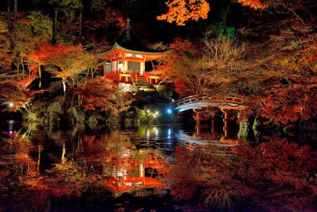 日本，公园，池塘，大自然，秋季，桥，凉亭，宝塔，夜晚，灯光，照明
