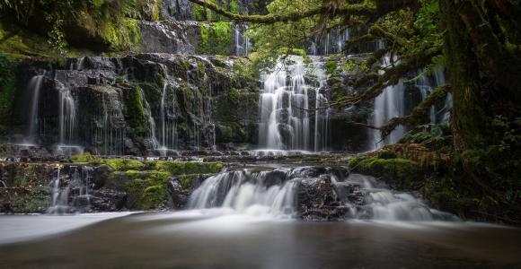大自然，新西兰，瀑布，Purakaunui瀑布，树枝，苔藓