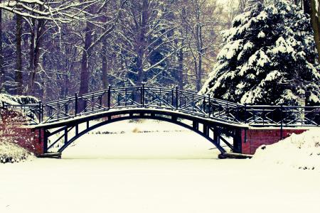 冬天，桥梁，公园，树木