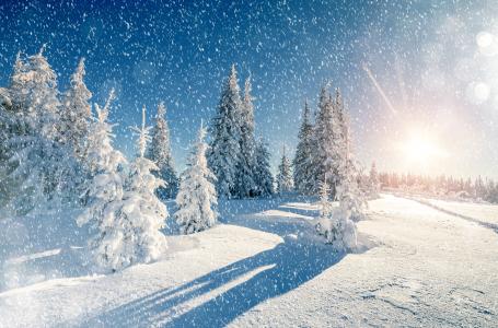 冬天，雪，snowdrifts，树木，景观