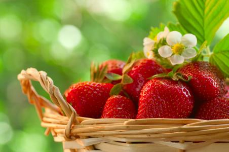 草莓，浆果，红色，篮子，盛开，宏