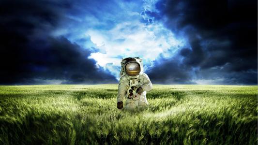 宇航员，领域，小麦，天空，阴天，创意，photoshop