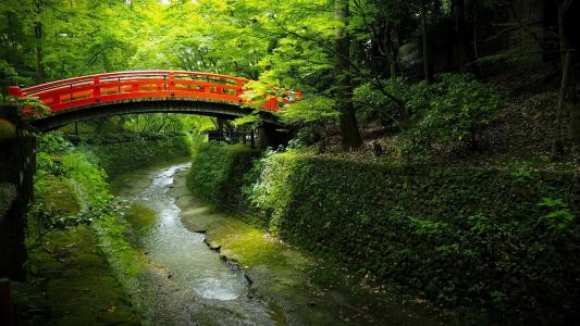 日本，公园，运河，水，桥，树