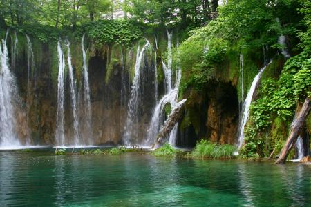 自然，森林，瀑布，水，美丽