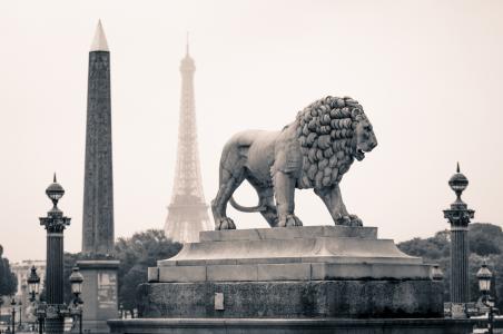 狮子，法国，雕像，巴黎，城市，纪念碑