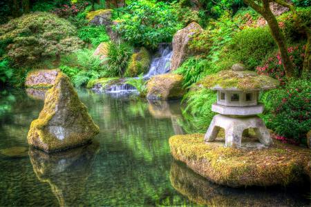 日本的花园，花园，公园，景观