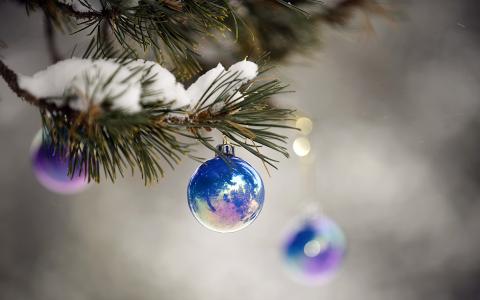 新年，蓝色，雪，假期，圣诞球，闪亮，分支机构，宏，新的一年