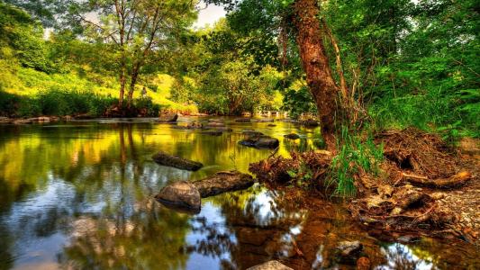 湖，树，绿化，石头，反射，埃克斯穆尔，英国