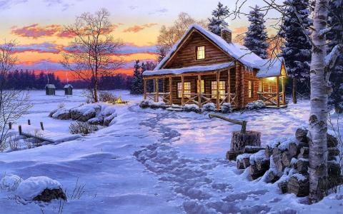 森林，雪，小屋，光，冬天