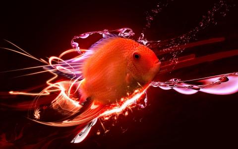 电脑绘图，红色的鱼，飞沫