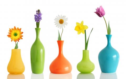 花瓶，鲜花，品种